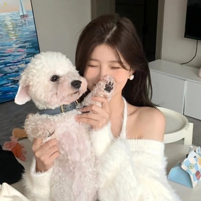 随机暴力行动